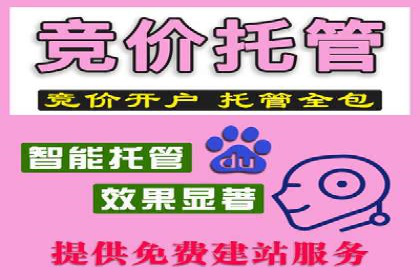 SEM服务公司助力互联网营销案例